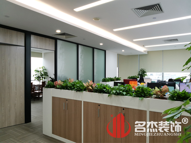 辦公室蘑菇视频网址