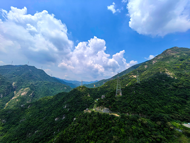蘑菇视频APP网站入口裝飾遊記